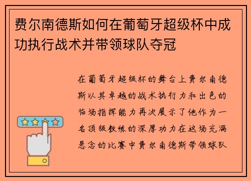 费尔南德斯如何在葡萄牙超级杯中成功执行战术并带领球队夺冠