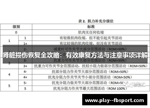 肾脏损伤恢复全攻略：有效康复方法与注意事项详解